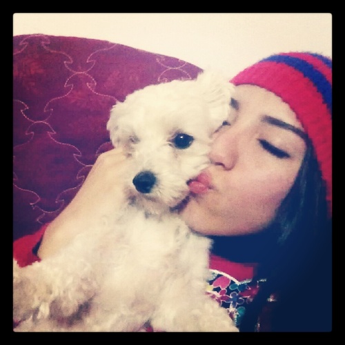 Amo a los animales son mi debilidad y haria cualquier cosa por ellos.