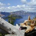 Jeff Atkins - @JeffAtkinsy - Twitter