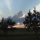 Lisa Goss - @Lisa_Goss - Twitter