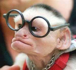 Tips & advice for successful internet research on your term papers, essays, etc.

Or let ResearchMonkey find sources for you:
ResearchMonkey on fiverr