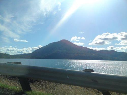 sharla_fields's profile picture. 