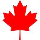 The Canadian IT Professional