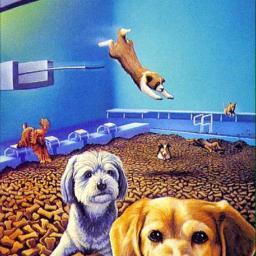 Dogggheaven's profile picture. heaven -- all dogs go there.