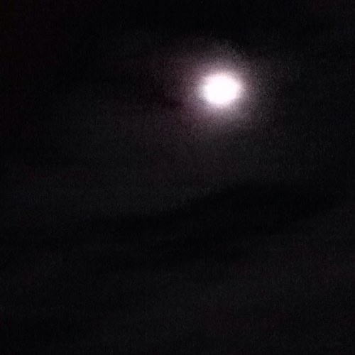 doingwork1980's profile picture. 