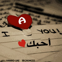 um_ghaya90's profile picture. Ask to follow back !!