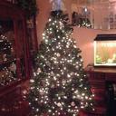 Teri Keller - @Lee_wv - Twitter