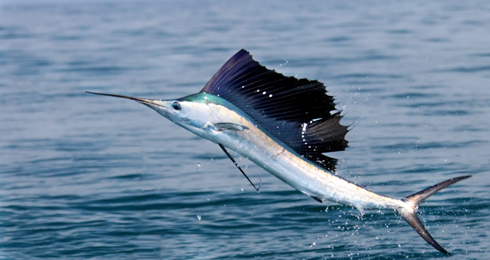 DidYaHearPBA's profile picture. we're just here to provide info about the scandalous life of PBA students