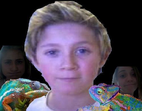 hi. we're nialls reptiles. nice to meet you. ask for a follow back. ok bye.
