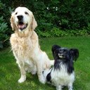 Erwin Fischer - @ErwinFischer4 - Twitter