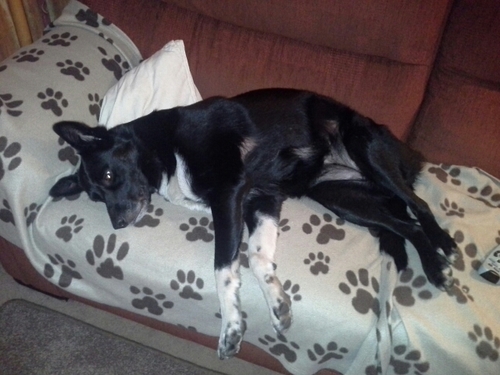 cpeden64's profile picture. 