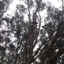 patrick crouch - @bwew_bwsc - Twitter