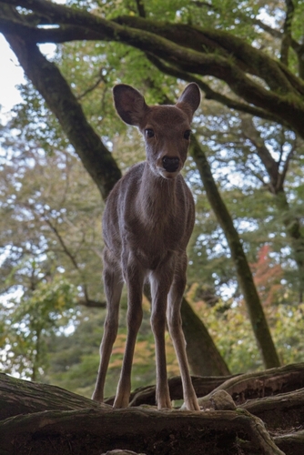 Hewie1978's profile picture. 