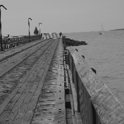 Sansnsia's profile picture. 