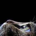 andre.santoso - @andresantoso12 - Twitter