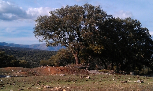 charnoga's profile picture. 