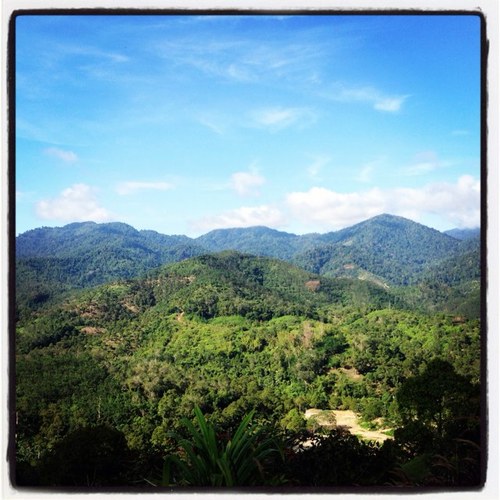 izzanasalleh's profile picture. 