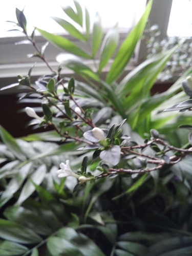 joosavv11002's profile picture. 