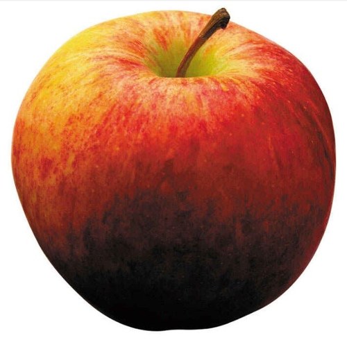 De meest smakelijke appels van Appel_Inc. Volg ons en maak kans op gratis appels!