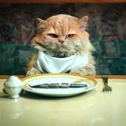 tomerlan5's profile picture. 