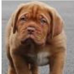 DamianBreathen's profile picture. damong! LFC. Sister hannah musa. Brothers tariq musa + tim musa