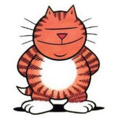 Heinz is een Nederlandse strip van het stripduo René Windig en Eddie de Jong.