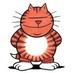 Heinz de Kat (@heinz_de_kat) Twitter profile photo Heinz de Kat (@heinz_de_kat) Twitter profile photo