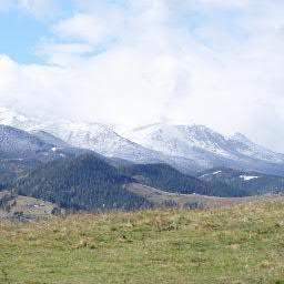 Official Twitter of Dzembronya Village      
dzembronyavillage@gmail.com