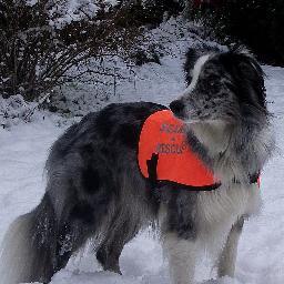 Search & Rescue Level 3 (Retired after 6 operational years & completing over 90 searches)