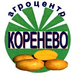 Производство и реализация семенного картофеля.