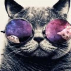 Writer and activist,gamer,  Linux and Beethoven lover.Asshole and many other things. One in ...