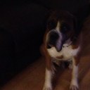 amanda reece - @mandyreecey - Twitter