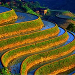 infoBaliNL's profile picture. De beste informatie over Bali vind je op onze site. De nummer 1 site over Bali. http://t.co/tfGXcZEx