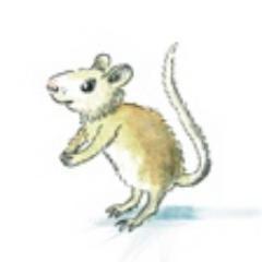 MistFlowerMouse's profile picture. Author of Mistflower the Loneliest Mouse due for publication March 2013. Graduate, writer, mother, and mad cat lady with a passion for life and words.