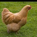 steven simpkins - @ZoMBI3N1NJ4 - Twitter