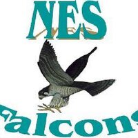 Northside Elementary (@nesfalcons) 's Twitter Profile