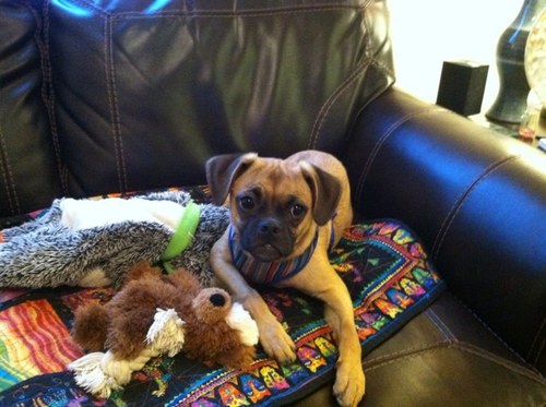 jodcohan's profile picture. 