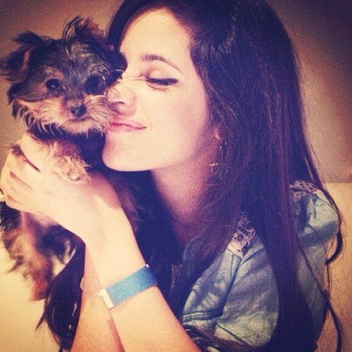 gatadoniall Profile Picture