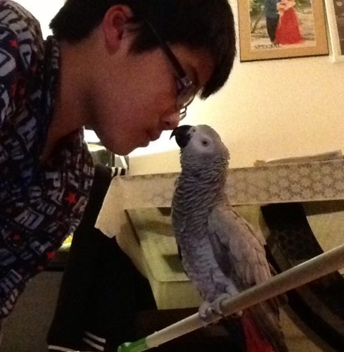 Timon200057's profile picture. 