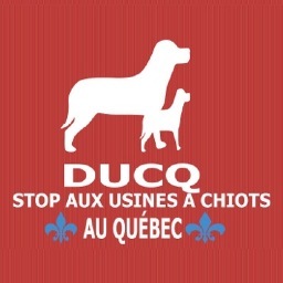 Grande militante engagée dans une lutte à finir contre les usines à chiots et à chatons au Québec. Tout ce que je dénonce est la vérité et est d'intérêt public.