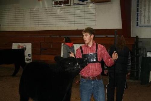 16, farming, diesels, showing cattle
