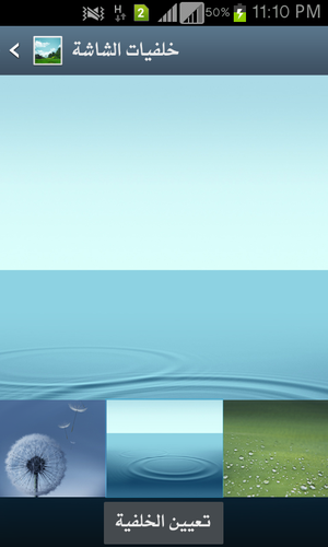 skn8520's profile picture. 