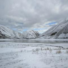 AureliaChriste8's profile picture. If you light a lamp for somebody, it will also brighten your path.-Siddhartha Gautama