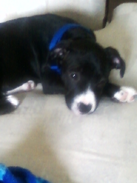 lisacampuzano's profile picture. 