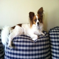 yeejcqmaricela's profile picture. I am a loner.Lia Zayne.