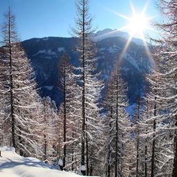 A small hotel and restaurant located in Disentis, right in the heart of the Swiss Alps. Opens in fall 2014.