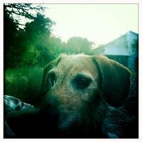 allia (@allia) 's Twitter Profile