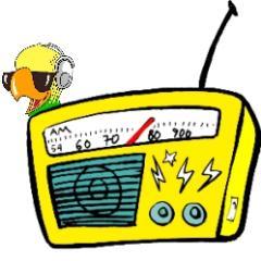 A melhor rádio web de Belém do Pará
Baixe nosso app :: iPhone http://t.co/czRXvvpy  :: Android http://t.co/Ub111L9J
