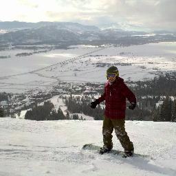 verdilicious's profile picture. 