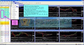 FirstTfex's profile picture. 