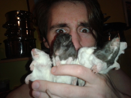 sweatyarmadildo's profile picture. 